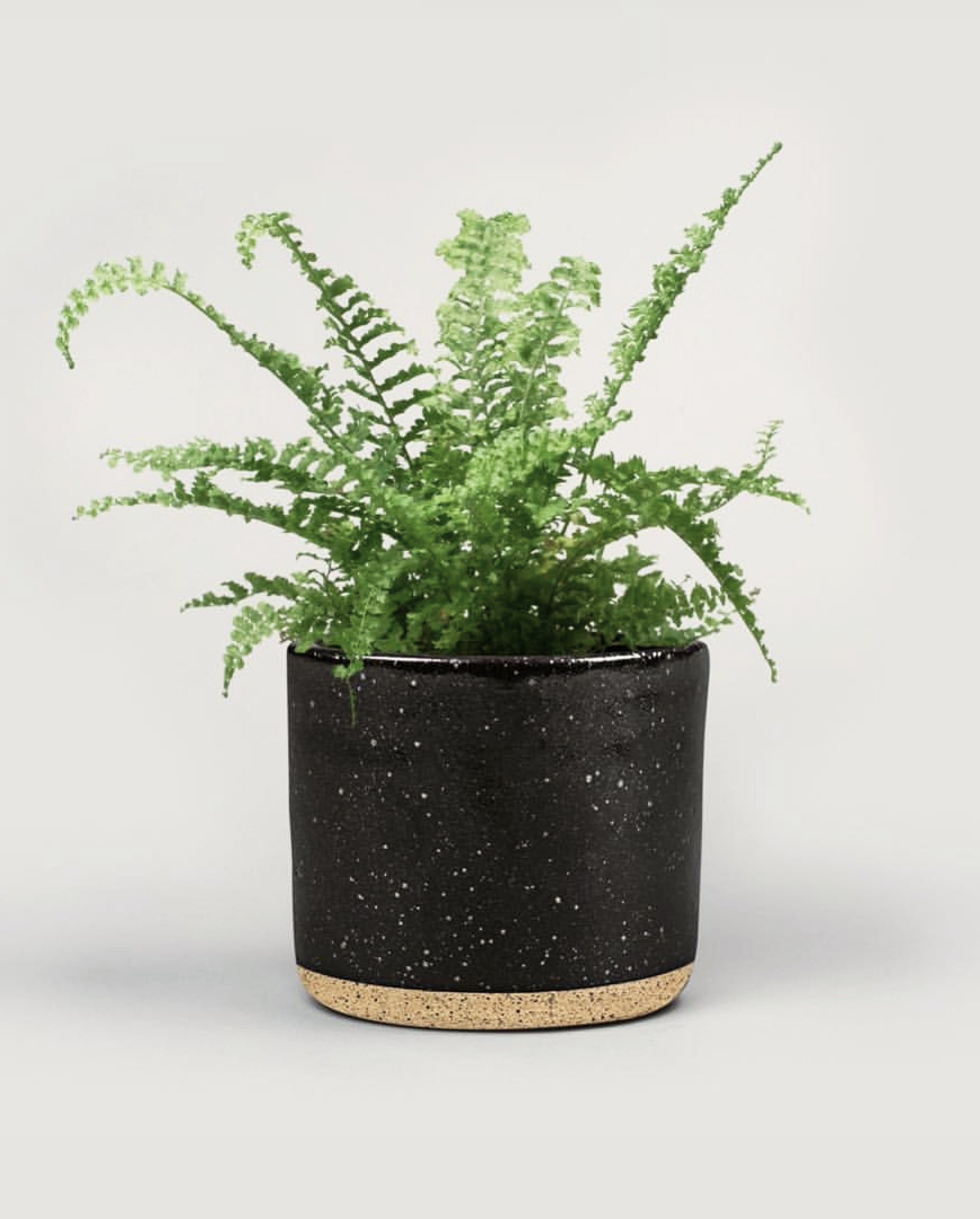 Planter (Black Speckle)